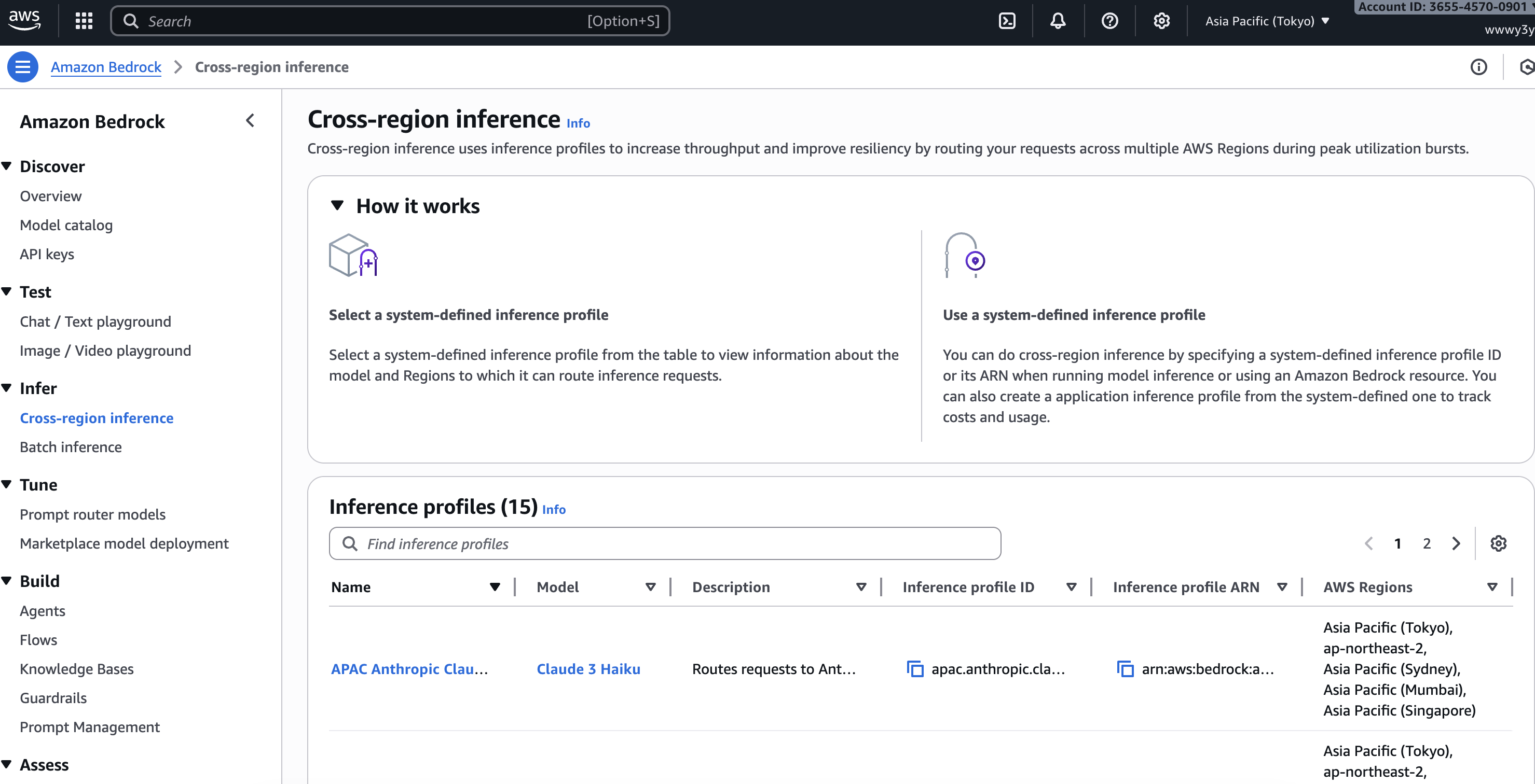 AWS Bedrock cross-region inference