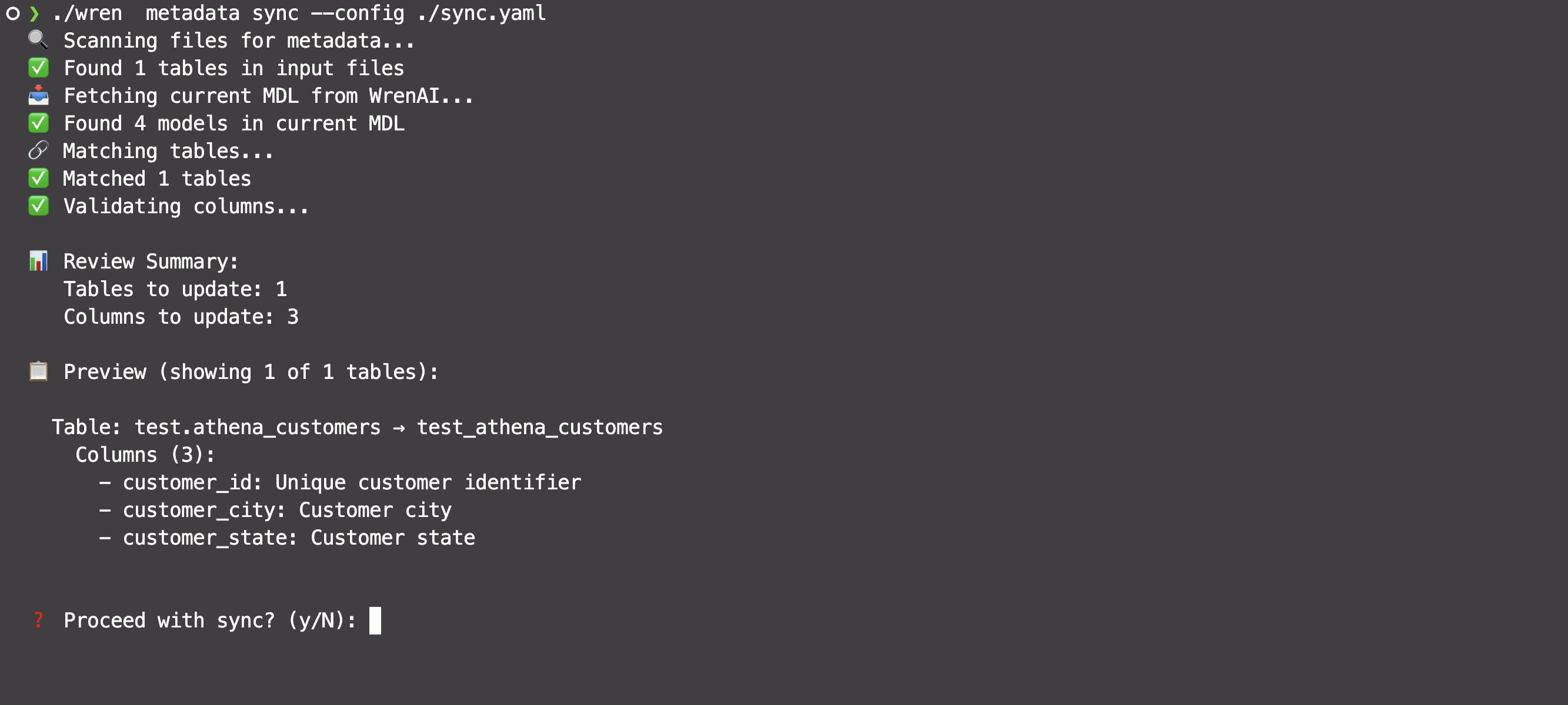 wren-cli-metadata-preview